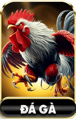 đá gà icon 23win